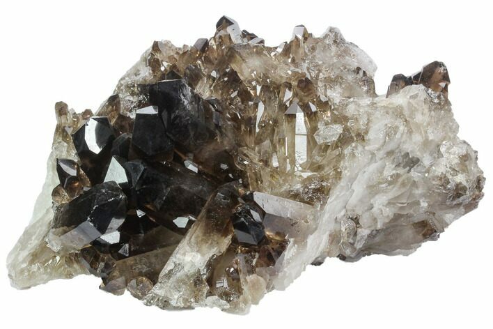 Dark Smoky Quartz Crystal Cluster - Brazil #124610